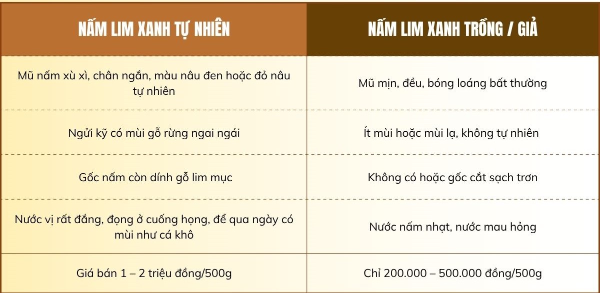 Nấm Lim Xanh giá bao nhiêu